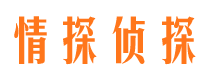 隆回市调查公司